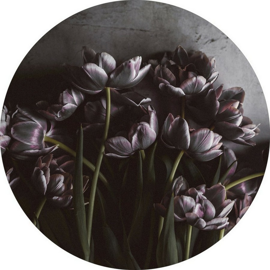 Kunstdruck "Dark Tulips"  Ø 110 cm