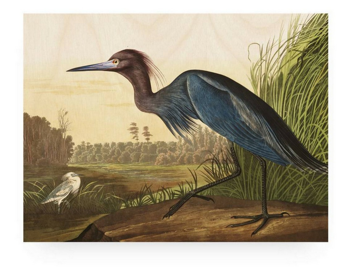 Print auf Holz "Blue Crane" 100*75 cm