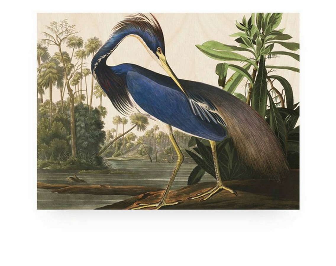 Print auf Holz "Blue Crane" 100*75 cm